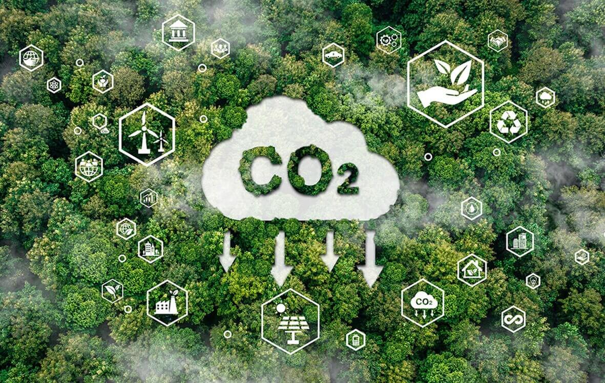CO2 cycle in nature